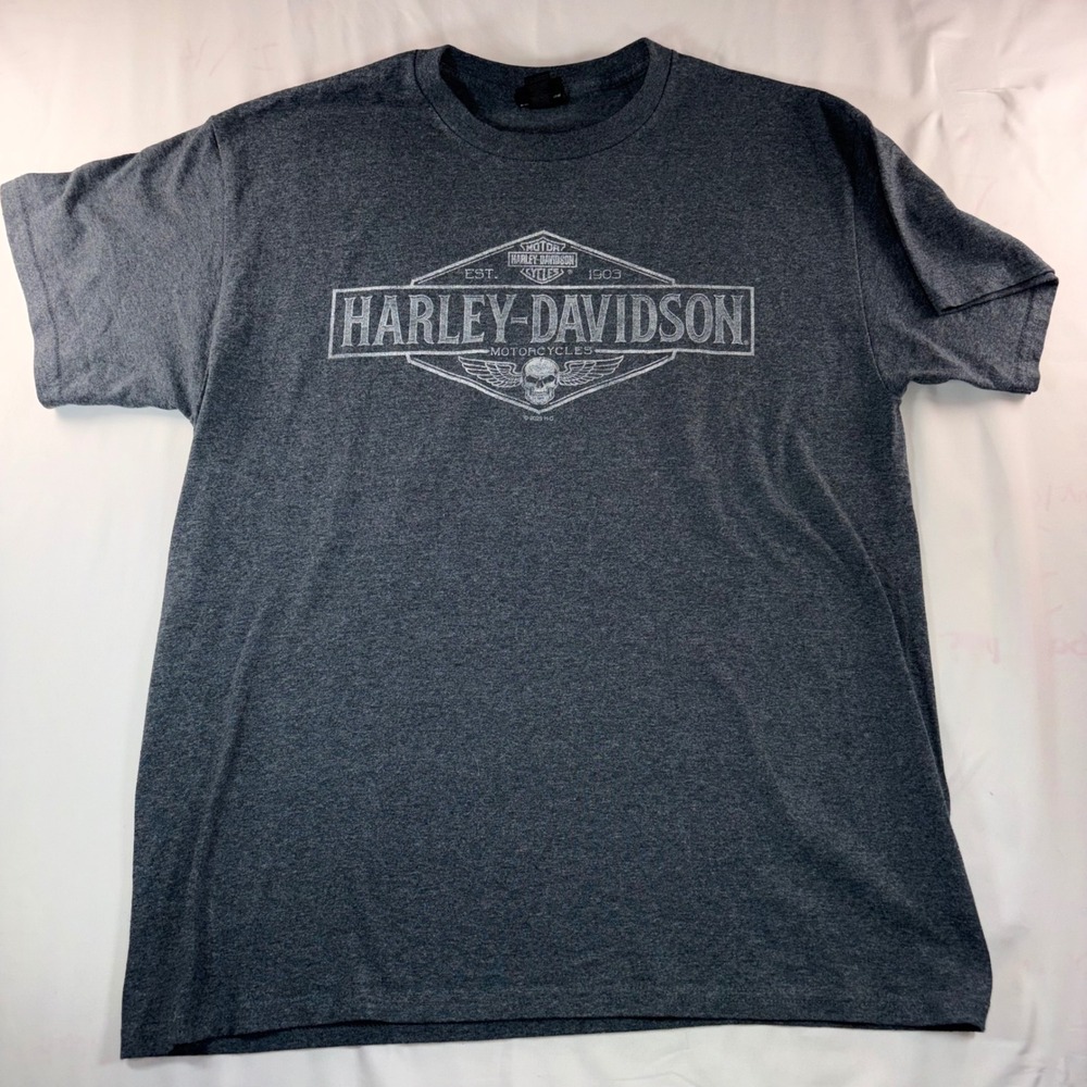 Harley-Davidson‎ Durango Colorado Million Dollar Highway T-Shirt Mens Large Gray